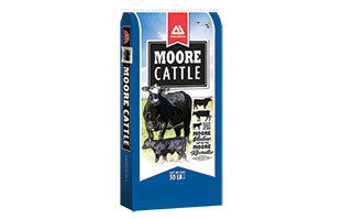A product by Thomas Moore Feed for cattles
