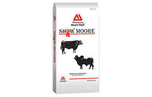 A product by Thomas Moore Feed for show cattle